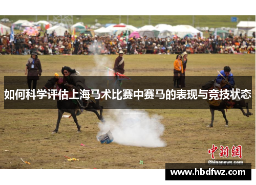 如何科学评估上海马术比赛中赛马的表现与竞技状态