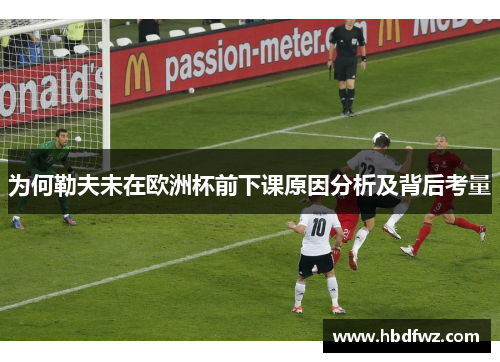 为何勒夫未在欧洲杯前下课原因分析及背后考量