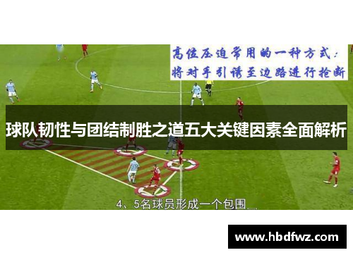 球队韧性与团结制胜之道五大关键因素全面解析